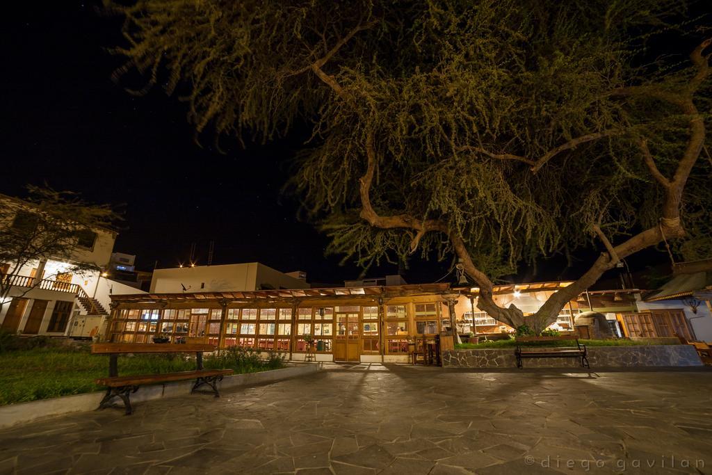 Hotel El Huarango Ика Экстерьер фото